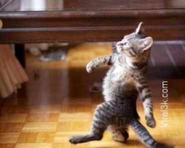 friday