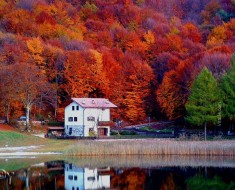 places