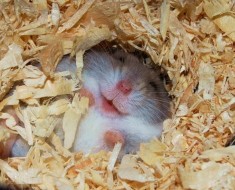 smile